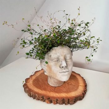 Strukturaugi_235_Puku_podu_modes_tendences_ZUTINI