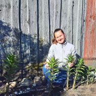 liliju koki jeb kokveida lilijas - zutini