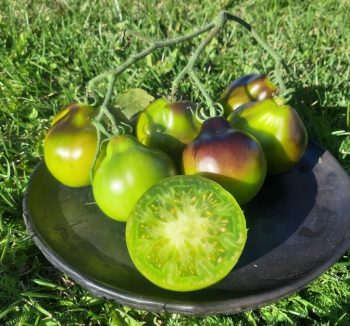 Zilie un violetie tomāti