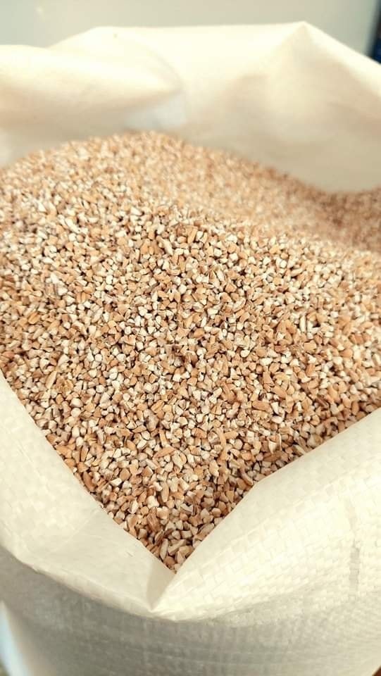 miežu putraimi zutiņi miežu putraimi skābputrai