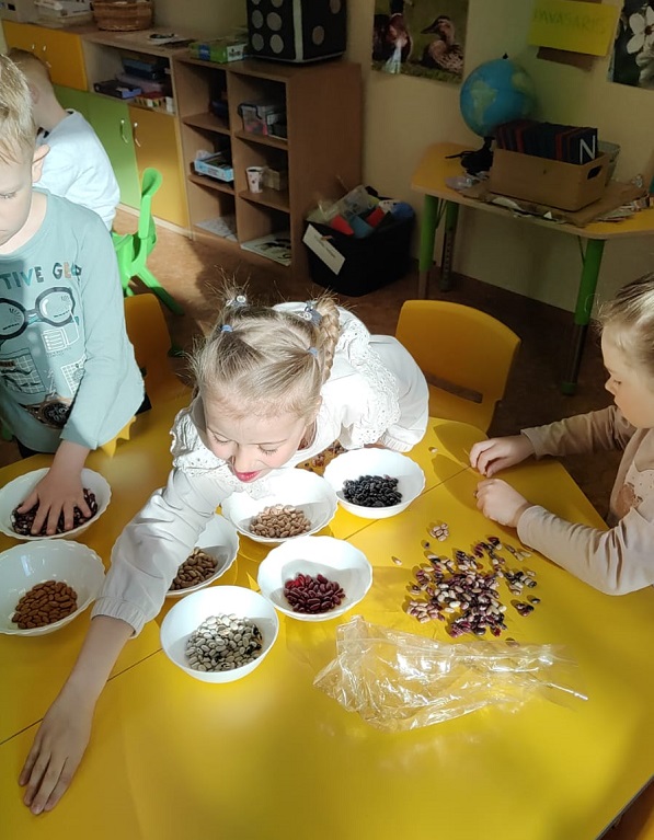 pupiņu šķirošana vai pupas izglābs pasauli